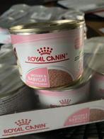 Boite chaton royal canin, Ophalen, Kat