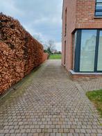 Te huur, 50 m² of meer, Hasselt