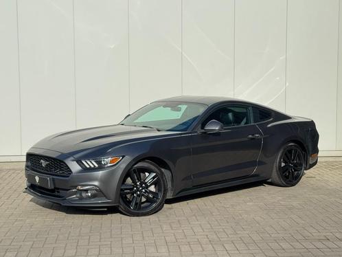 ✅ Ford Mustang 2.3 EcoBoost 12 Maanden GARANTIE 1.Eigenaar, Auto's, Ford, Bedrijf, Te koop, Mustang, ABS, Achteruitrijcamera, Airbags