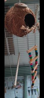 Kokoshut voor vogels met gratis kleurrijke ladder, Nieuw, Ophalen of Verzenden