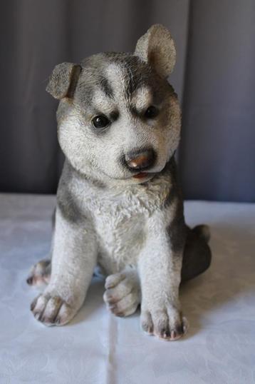 *Husky puppy L 25 cm x Br 21 cm x H 30 cm beschikbaar voor biedingen
