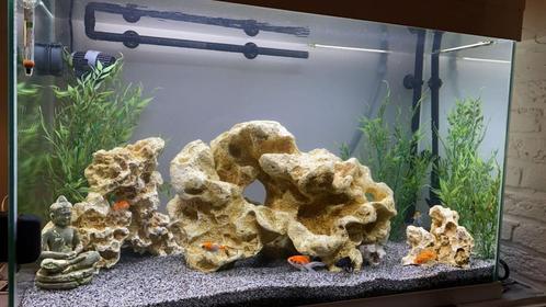 Aquarium Ciano 180L, Animaux & Accessoires, Poissons | Aquariums & Accessoires, Comme neuf, Enlèvement