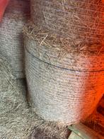 Hooi midi balen, Dieren en Toebehoren, Ophalen