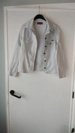 Jeans vest Scapa 40, Kleding | Dames, Ophalen of Verzenden