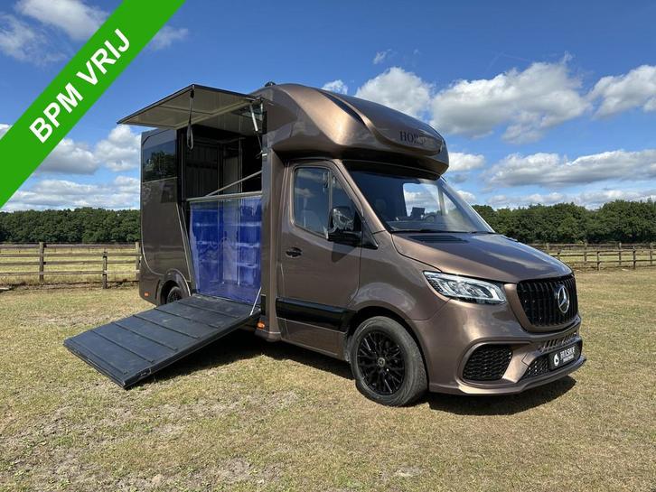 Mercedes-Benz Sprinter 319 AMG 2-paards paardenvrachtwagen B, Dieren en Toebehoren, Paarden en Pony's | Trailers en Aanhangwagens