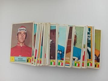 panini beschikbaar voor biedingen