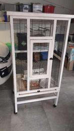 Ferplast Wilma vogelkooi, Enlèvement, Utilisé, Bois, Cage à oiseaux