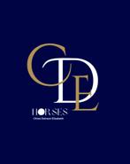 LUXE privé stalling te huur, Dieren en Toebehoren, Stalling en Weidegang, Stalling, 4 paarden of pony's of meer