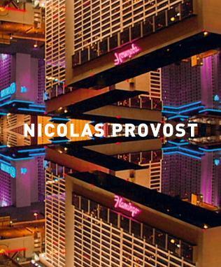 Nicolas Provost, Livres, Art & Culture | Arts plastiques, Utilisé, Enlèvement ou Envoi
