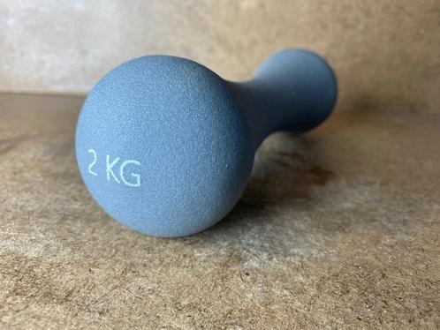 Dumbbell Grijs - 2 kg - Avento, Sport en Fitness, Fitnessmaterialen, Zo goed als nieuw, Dumbbell, Armen, Benen, Borst, Buik, Rug