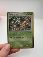 Pokémonkaart: Torterra, Enlèvement, Comme neuf