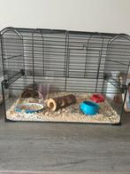 Hamsterkooien, Dieren en Toebehoren, Ophalen, Gebruikt, Kooi