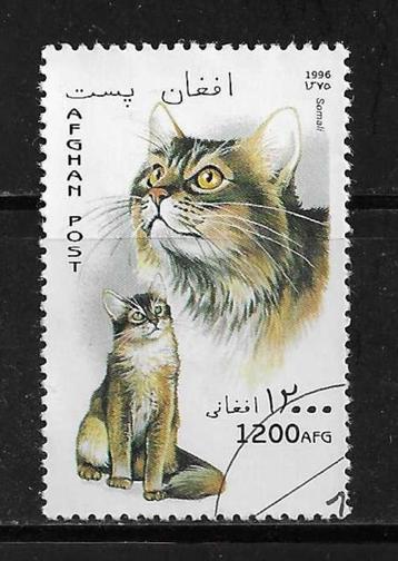 Afghanistan 1996 - Afgestempeld - Poezen - Lot Nr. 689