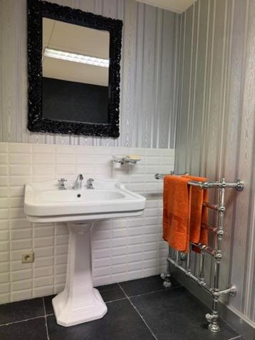 Retro lavabo en douche beschikbaar voor biedingen