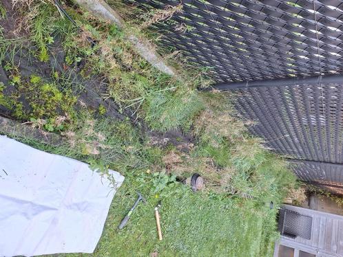 Tuiner, Diensten en Vakmensen, Tuinmannen en Stratenmakers, Bestrating, Hekwerk of Schuttingen, Tuin- of Vijveraanleg, Tuinonderhoud of Snoeiwerk