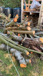 Brandhout - Gratis, 3 à 6 m³, Enlèvement, Autres essences de bois, Troncs d'arbres