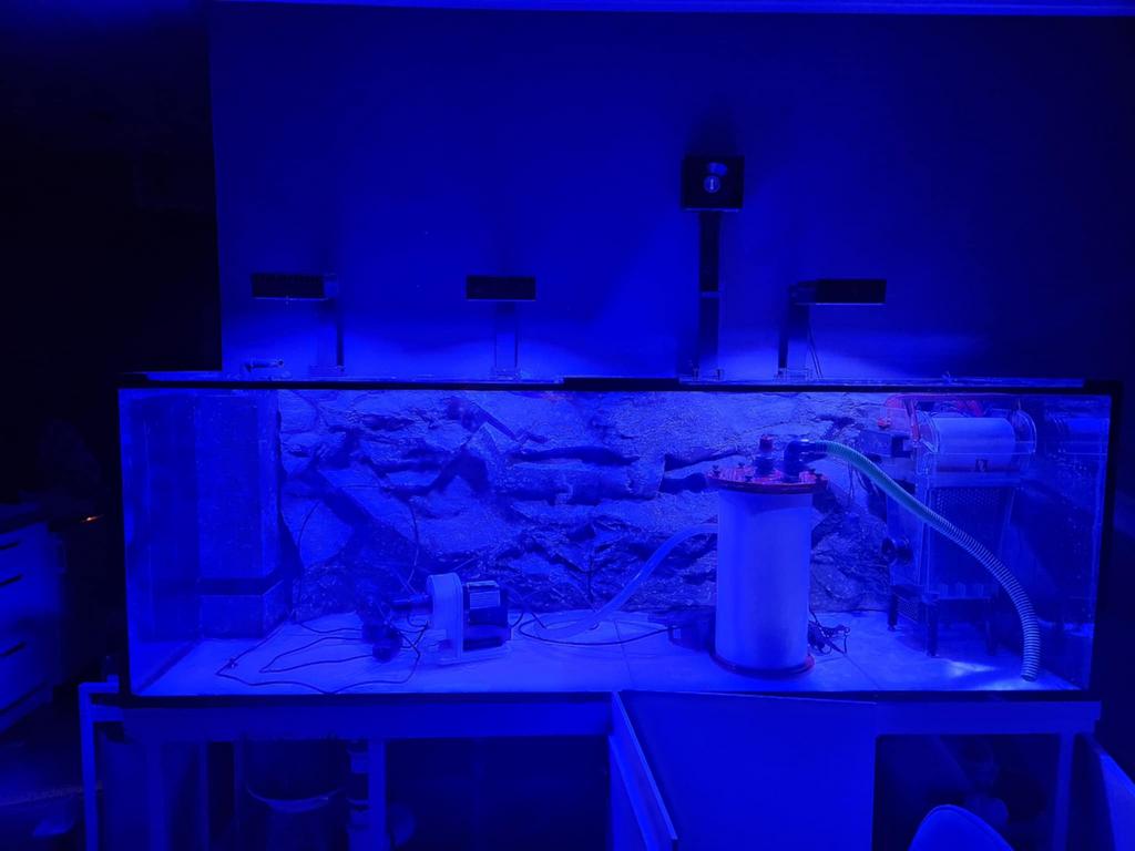 Visbak + sump + frame, Dieren en Toebehoren, Vissen | Aquaria en Toebehoren, Ophalen, Zo goed als nieuw