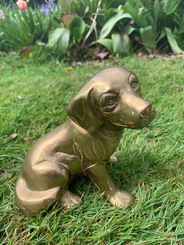 Vintage messing hondje, Tuin en Terras, Tuinbeelden, Zo goed als nieuw, Ophalen of Verzenden