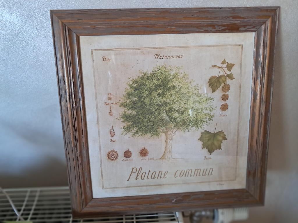 Cadre decoratif, Minder dan 50 cm, Verzenden, Nieuw, Minder dan 50 cm