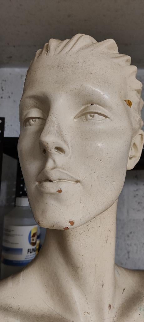 Mannequin pour projet artistique, Hobby en Vrije tijd, Naaien en Fournituren, Ophalen, Gebruikt, Paspop