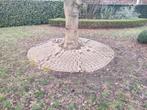 Ronde klinkers voor boom - gratis, Tuin en Terras, Ophalen