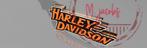 Prachtig Harley Davidson reclamebord met LED verlichting., Ophalen of Verzenden, Reclamebord