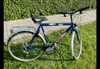 Herenfiets, Fietsen en Brommers, Gebruikt, Versnellingen, 65 cm of meer, Ophalen