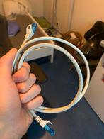 LogiLink 1m Cat.6 U/UTP câble de réseau Blanc, Informatique & Logiciels, Envoi, Neuf