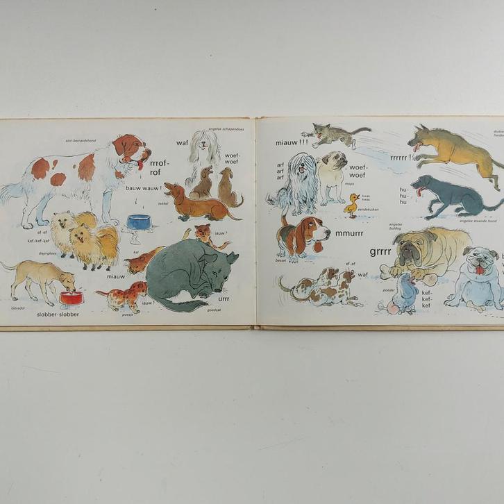 Hoe spreekt hij dan?" Kinder-kijk en voorleesboek., Boeken, Kinderboeken | Baby's en Peuters, Gelezen, Ophalen of Verzenden