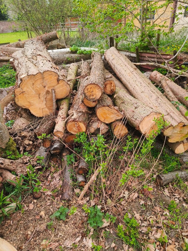 Brandhout, Tuin en Terras, Brandhout, 6 m³ of meer, Ophalen, Overige houtsoorten, Blokken