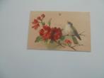 vogels -10postkaarten, Verzamelen, Postkaarten | Dieren, Verzenden, 1920 tot 1940, Gelopen, Vogel
