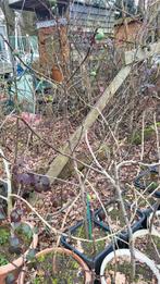 Figuiers : prix entre 20 et 50 euros, Jardin & Terrasse, Plantes | Arbres, Enlèvement