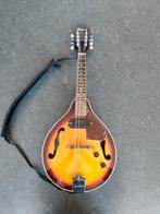 Gema Tennessee mandoline model A-1E + koffer, Ophalen, Gebruikt