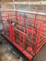 dierenweegschaal, Plusieurs animaux, 11 ans ou plus