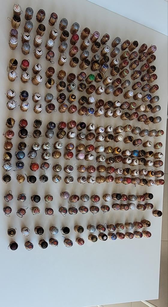 Champagne capsules - verschillende champagne huizen, Hobby en Vrije tijd, Ophalen of Verzenden