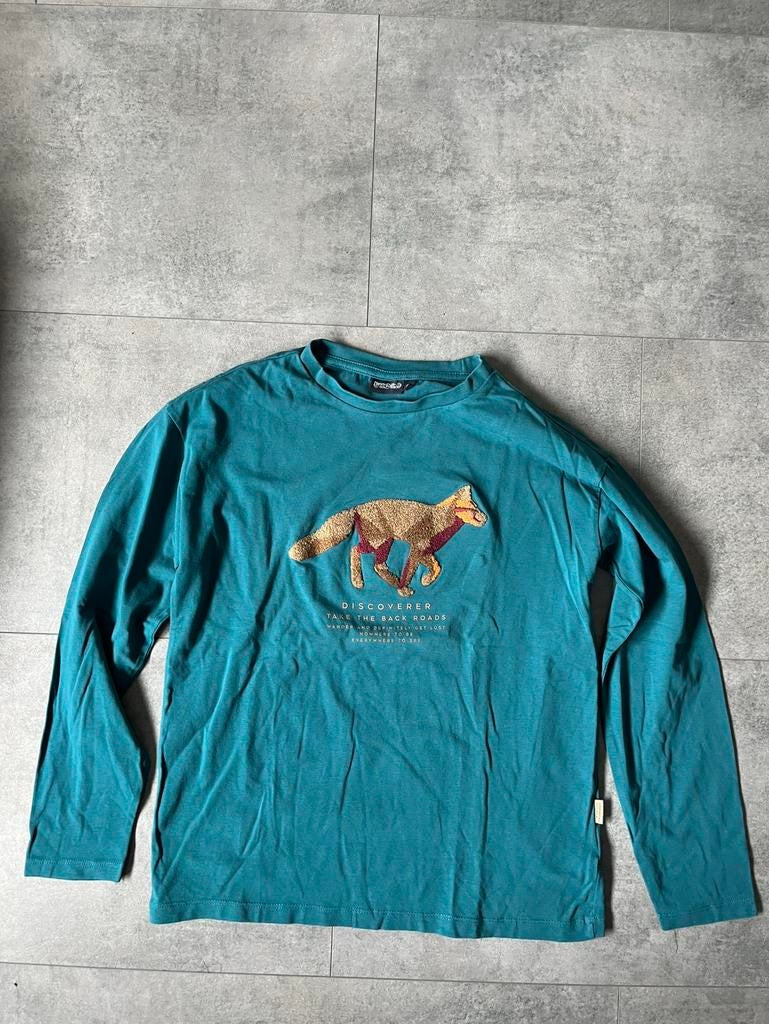 Longsleeve maat 146, Kinderen en Baby's, Kinderkleding | Maat 146, Ophalen of Verzenden, Gebruikt, Jongen, Shirt of Longsleeve