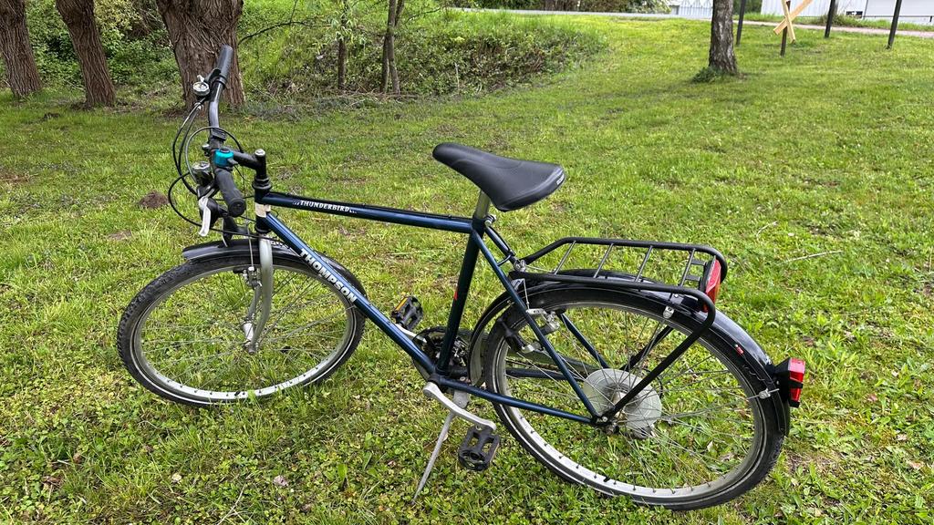 Thompson Thunderbird stadsfiets met versnellingen, Vélos & Vélomoteurs, Enlèvement, Utilisé