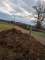 Gratis zuiver paardenmest Ramsel/Herselt, Tuin en Terras, Ophalen, Mest