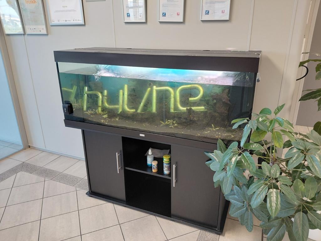 Aquarium 150 cm, Animaux & Accessoires, Poissons | Aquariums & Accessoires, Enlèvement