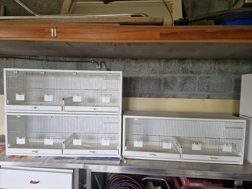 3 kweekkooien afm 105l x 40h x 30d, Animaux & Accessoires, Oiseaux | Cages & Volières, Enlèvement, Utilisé, Cage d'élevage