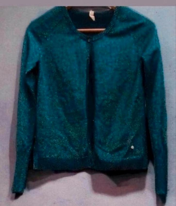 ✨️ Gilet CKS taille 34/36 - AVEC RÉDUCTION GROUPÉE ‼️✨️, Vêtements | Femmes, Pulls & Gilets, Comme neuf, Taille 36 (S), Bleu, Enlèvement ou Envoi