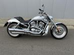 V-stang, Motoren, Motoren | Harley-Davidson, 2 cilinders, Chopper, Bedrijf, Meer dan 35 kW