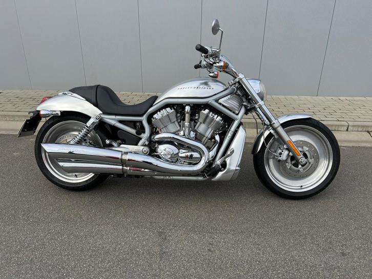 V-stang, Motoren, Motoren | Harley-Davidson, Bedrijf, Chopper, meer dan 35 kW, 2 cilinders, Ophalen