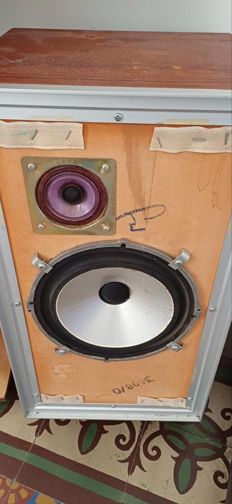 Enceinte leak., Audio, Tv en Foto, Luidsprekerboxen, Gebruikt, Front, Rear of Stereo speakers, Minder dan 60 watt, Overige merken
