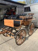 Koets, Utilisé, Wagonette, Cheval