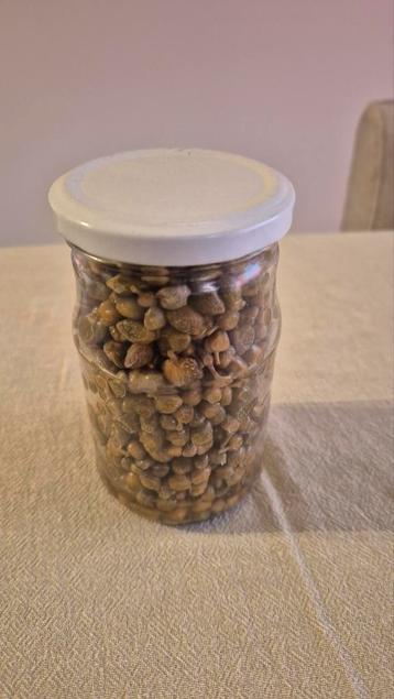 Câpres des Pouilles - produit BIO
