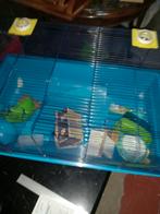 grote kooi voor hamster of cavia met accessoire, Dieren en Toebehoren, Knaagdieren en Konijnen | Toebehoren, Ophalen