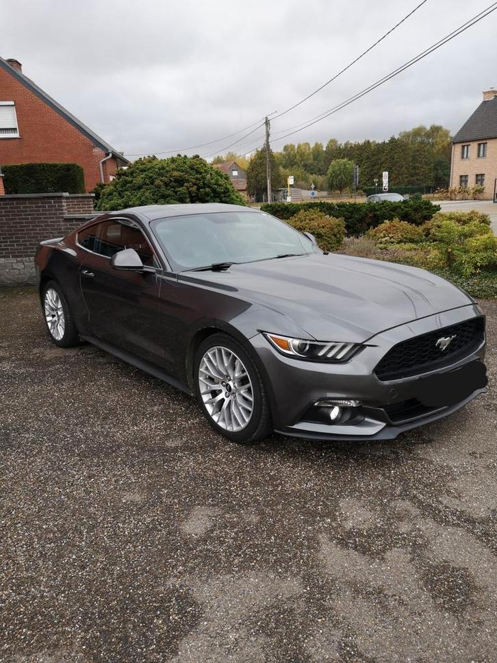 Ford Mustang Ecoboost 2.3, 317PK bouwjaar 2017    (verkocht), Auto's, Ford, Particulier, Mustang, ABS, Achteruitrijcamera, Airbags