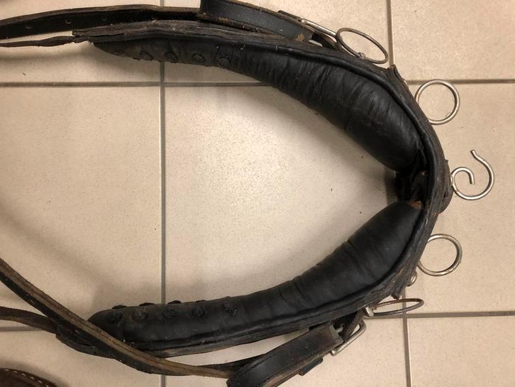 Col de poney et pièce de torse, Animaux & Accessoires, Chevaux & Poneys | Brides & Harnachement, Utilisé, Enlèvement