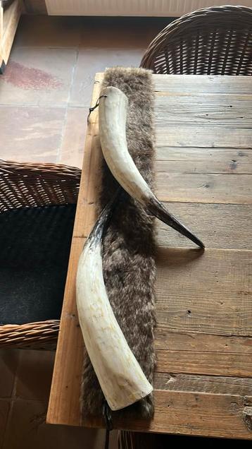 Deco tanden beschikbaar voor biedingen